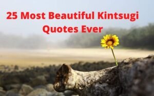 Read more about the article 25 Most Beautiful Kintsugi Quotes Ever