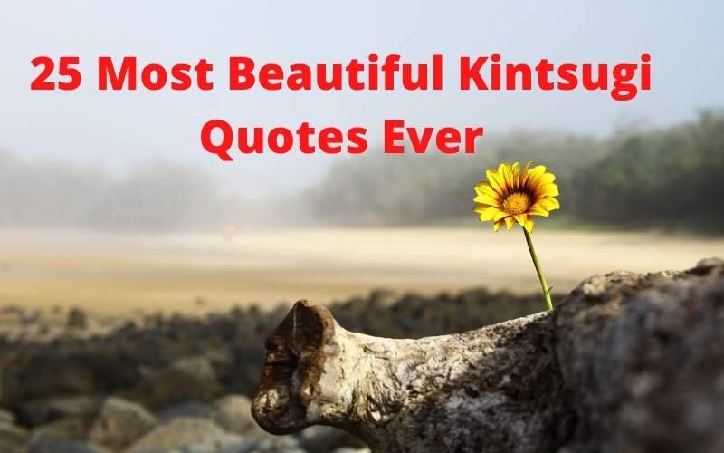 You are currently viewing 25 Most Beautiful Kintsugi Quotes Ever