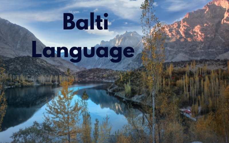 You are currently viewing Balti Language Basic Vocabulary