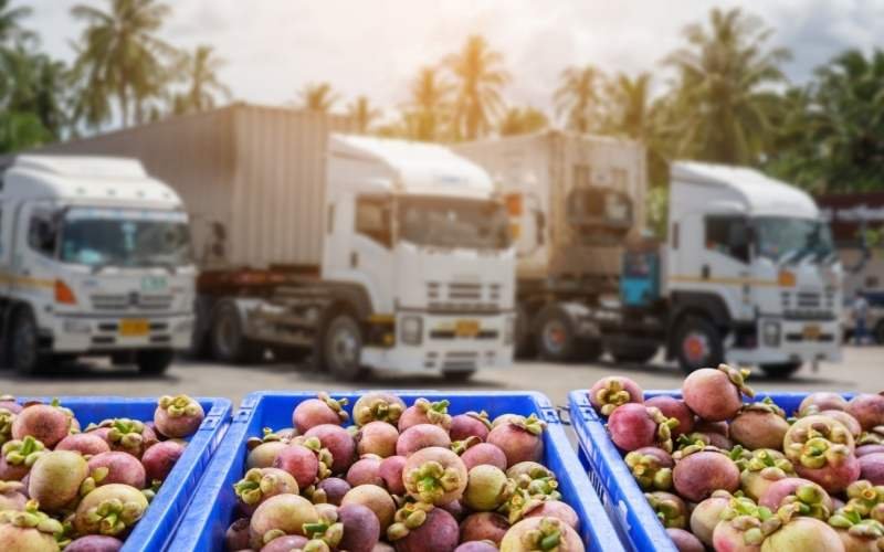 Read more about the article Top 5 Food Distribution Companies in UK