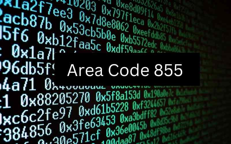 Read more about the article All About Toll-Free Number 855 Area Code & Location