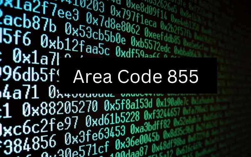 All About Toll-Free Number 855 Area Code & Location