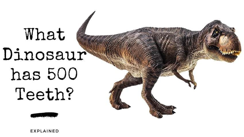 what is a dinosaur that has 500 teeth