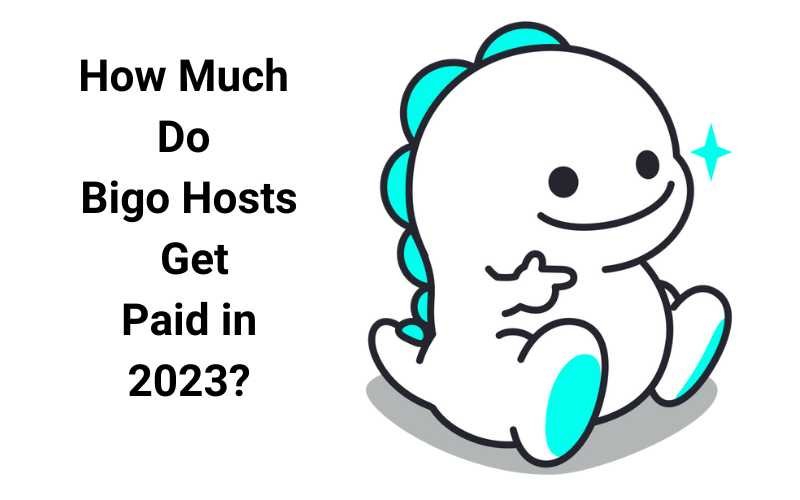 Read more about the article How Much Do Bigo Hosts Get Paid in 2023?